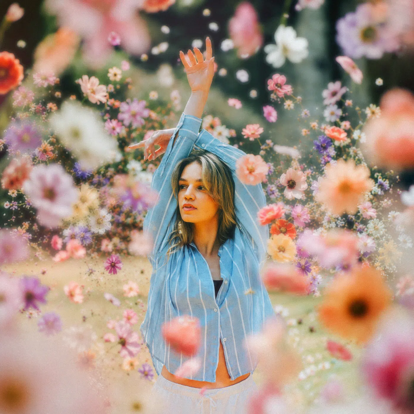 Artistes — photographie de Llywelyn